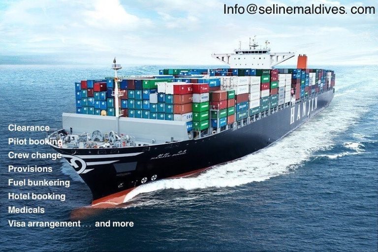 24861 Cargo Vessel Agent 768x513